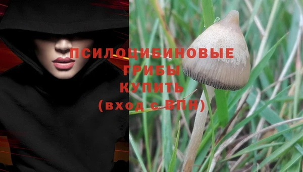 дурь Каменногорск