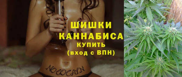 2c-b Каменка