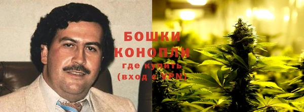 дурь Каменногорск