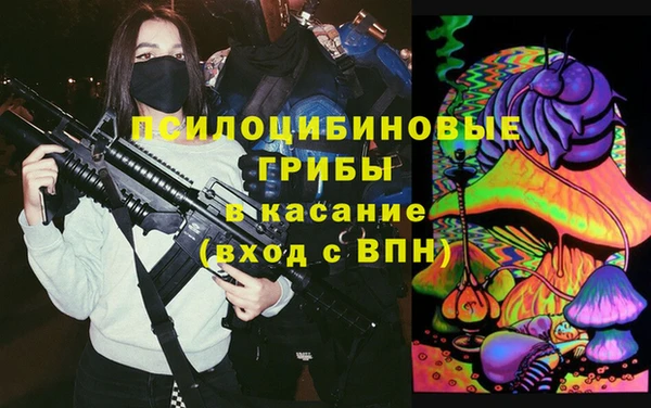 дурь Каменногорск